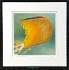 matted print of Marieke Gouda Reserve