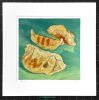 matted print of Gyoza