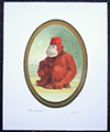 Fez Monkey print