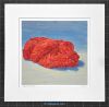 matted print of Ground Chuck