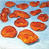matted print of Dried California Apricots